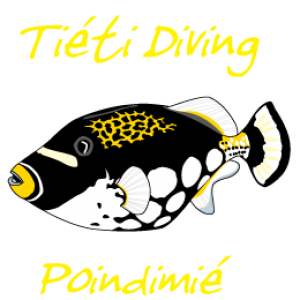 tieti-diving-baliste-jaune-logo